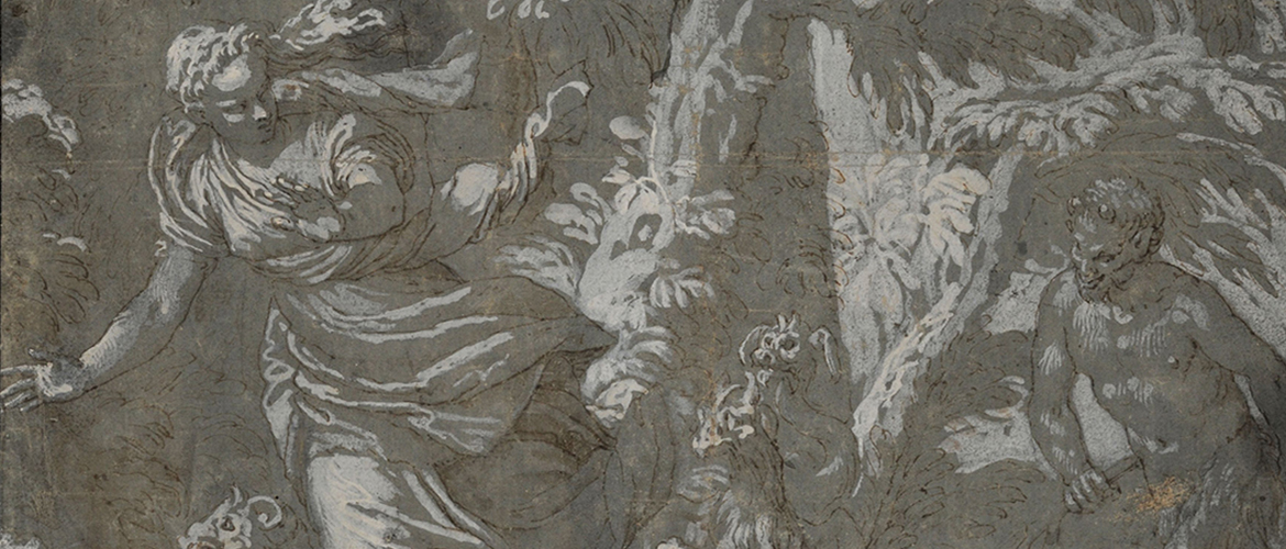 Paolo Véronèse, Nymphe poursuivie par un satyre, Plume, encre brune, rehauts de blanc sur papier préparé bleu-gris, H. 29,7 ; L. 27,2