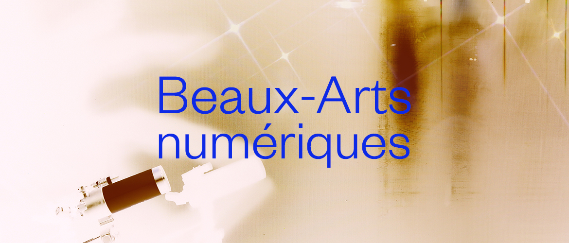 Beaux-Arts Numériques, expo virtuelle