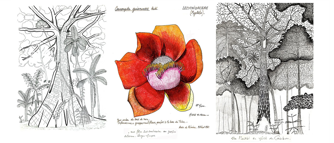 Présentation du pôle Arts de l'association Arborescence