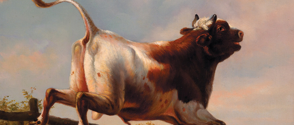 Rencontre avec Salomé Botella autour de l'ouvrage PAS SI TANT