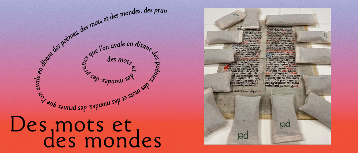 Autour de Des mots et des mondes - Performance et lectures de poésies