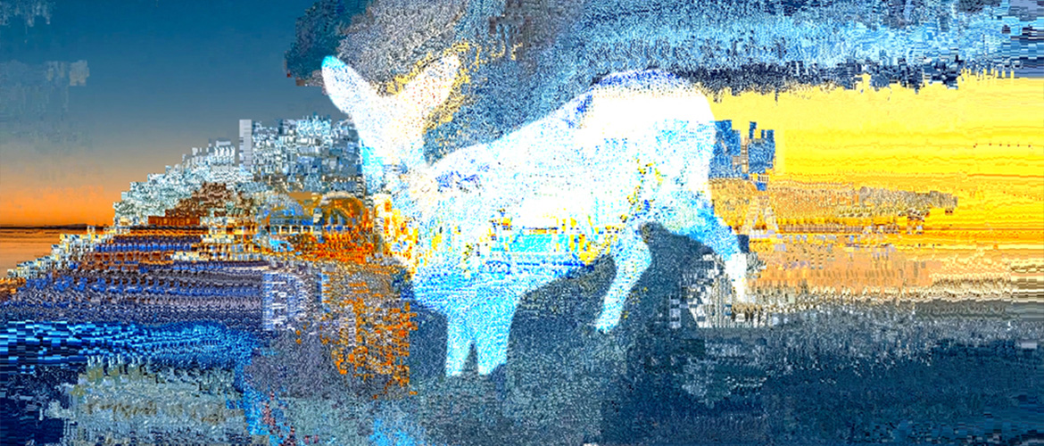 Carte blanche à l’atelier Cogitore à la Cinémathèque